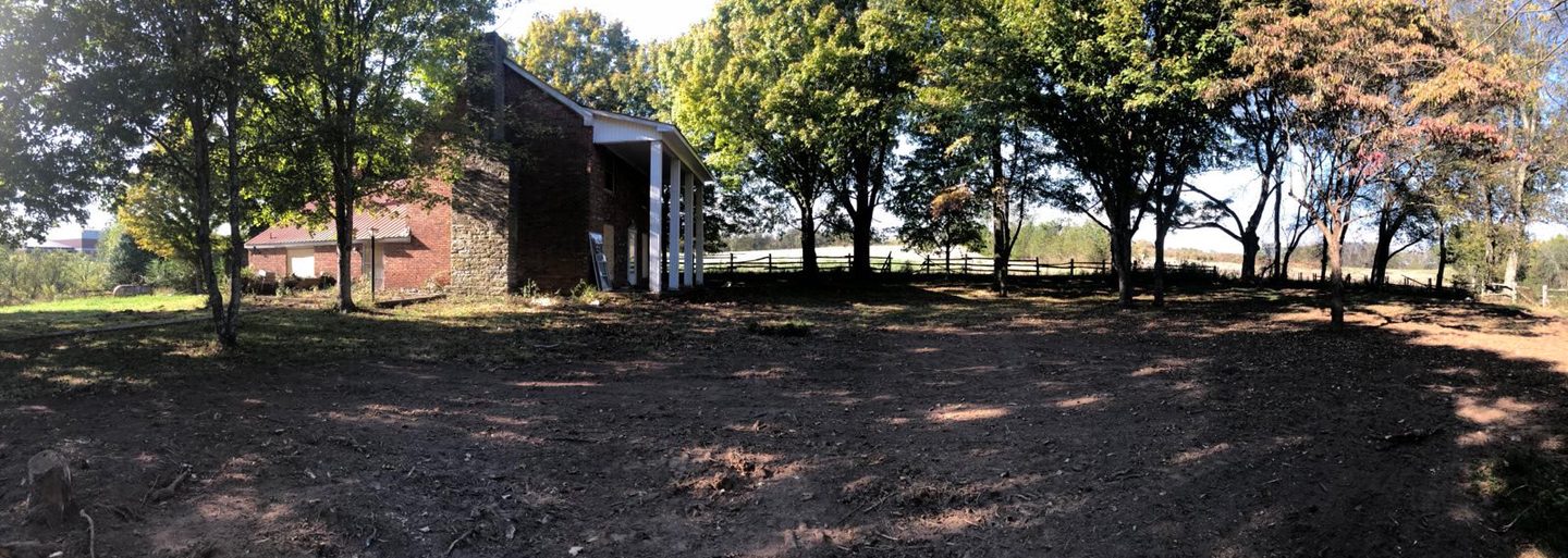 The house and the ground around it.